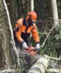 Forstwirt bei der Arbeit