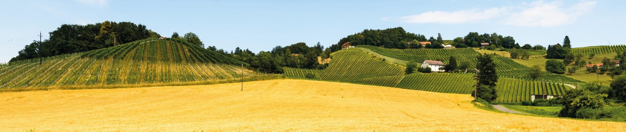 Pachtflächen regionale Landwirtschaft - Stiftung Schönau