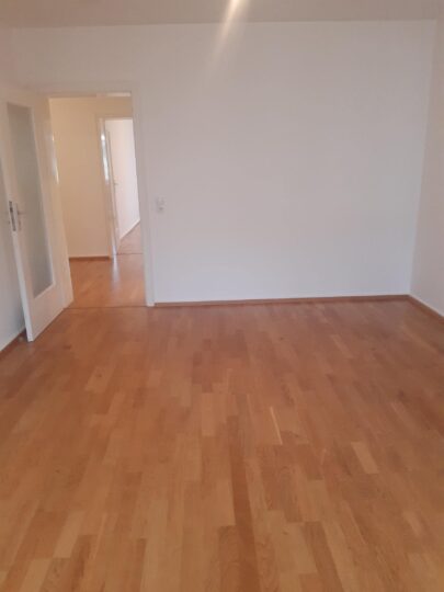 Zimmer2.1_WHG00502