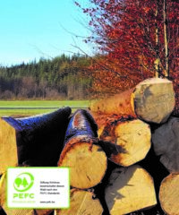 PEFC zertifizierter Wald der Stiftung Schönau