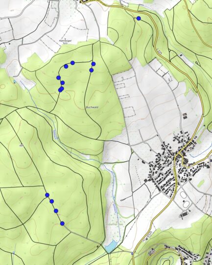 Polterholz Fahrenbach-Robern